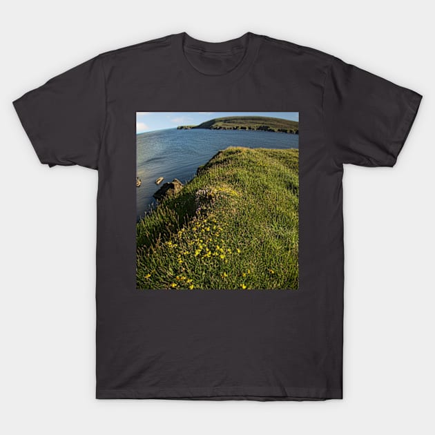 Fetlar, Shetland Islands T-Shirt by Avalinart